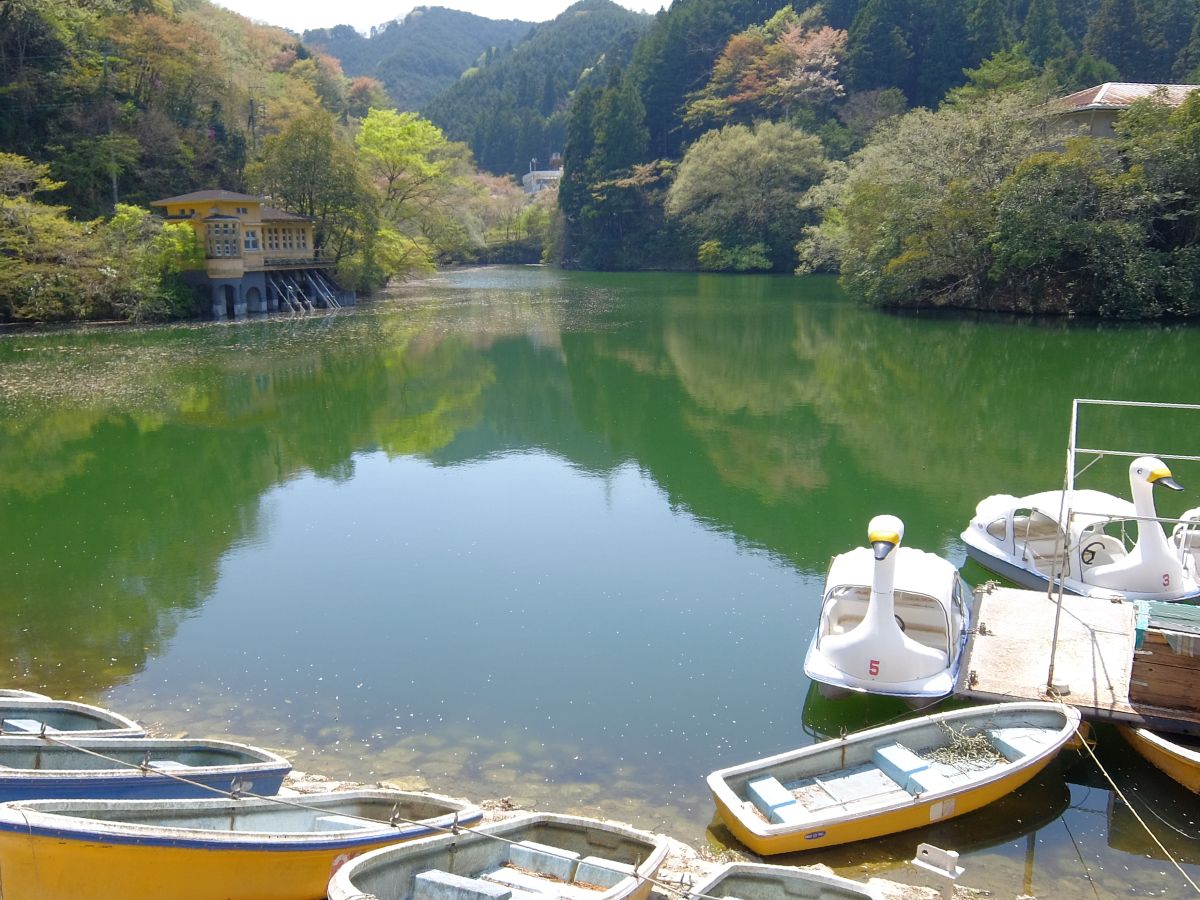 f:id:take-bin:20220417154726j:plain