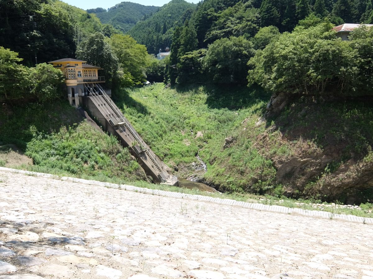 f:id:take-bin:20220417220827j:plain