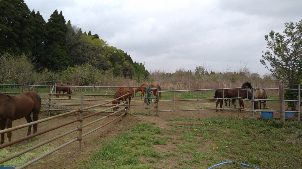 f:id:take-ivy:20180406195306j:plain