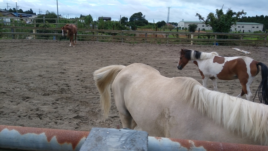 f:id:take-ivy:20180907151225j:plain