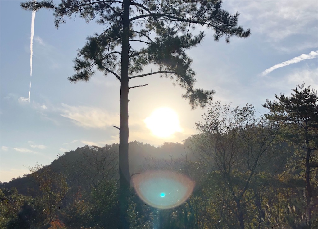 f:id:take012504:20191119042834j:image