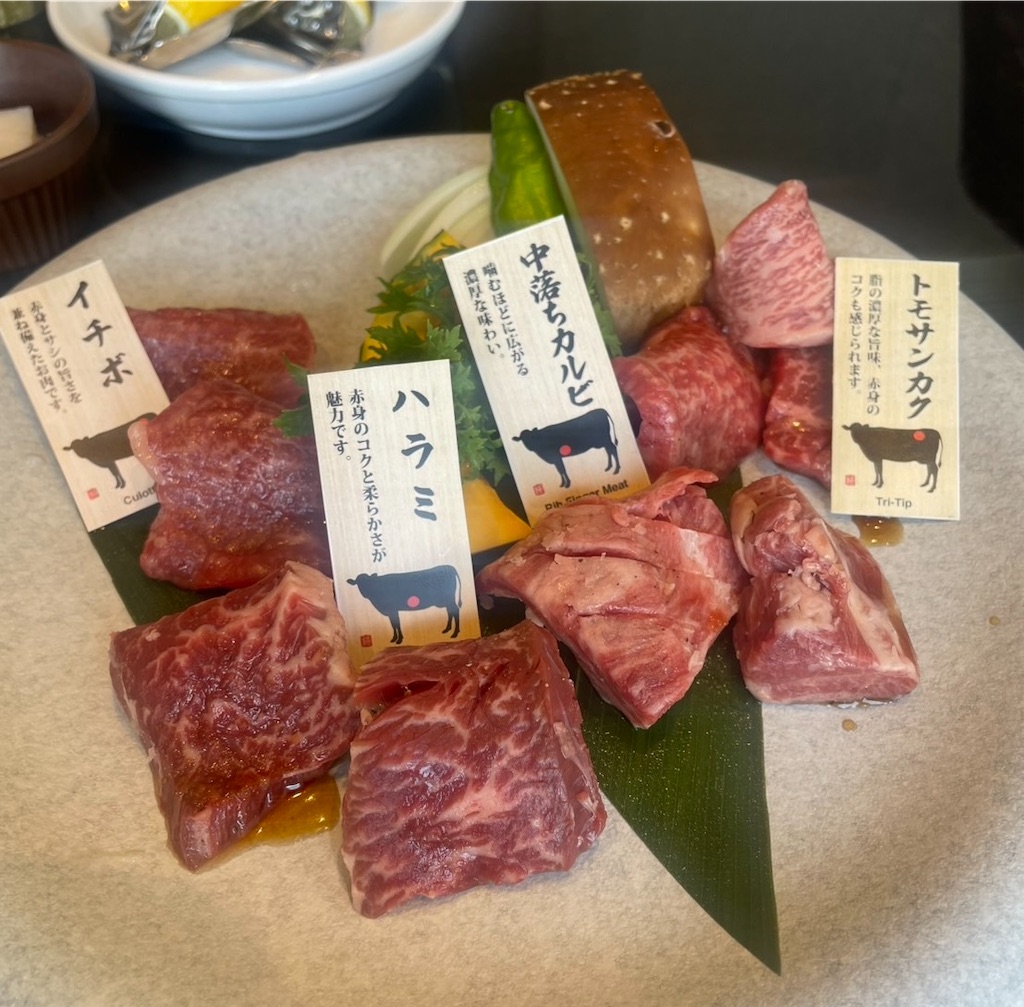 f:id:take012504:20260215221446j:image