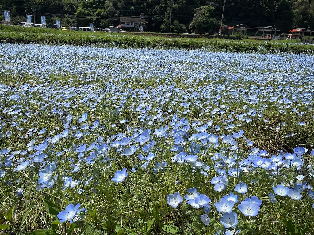 f:id:take012504:20260425153216j:image