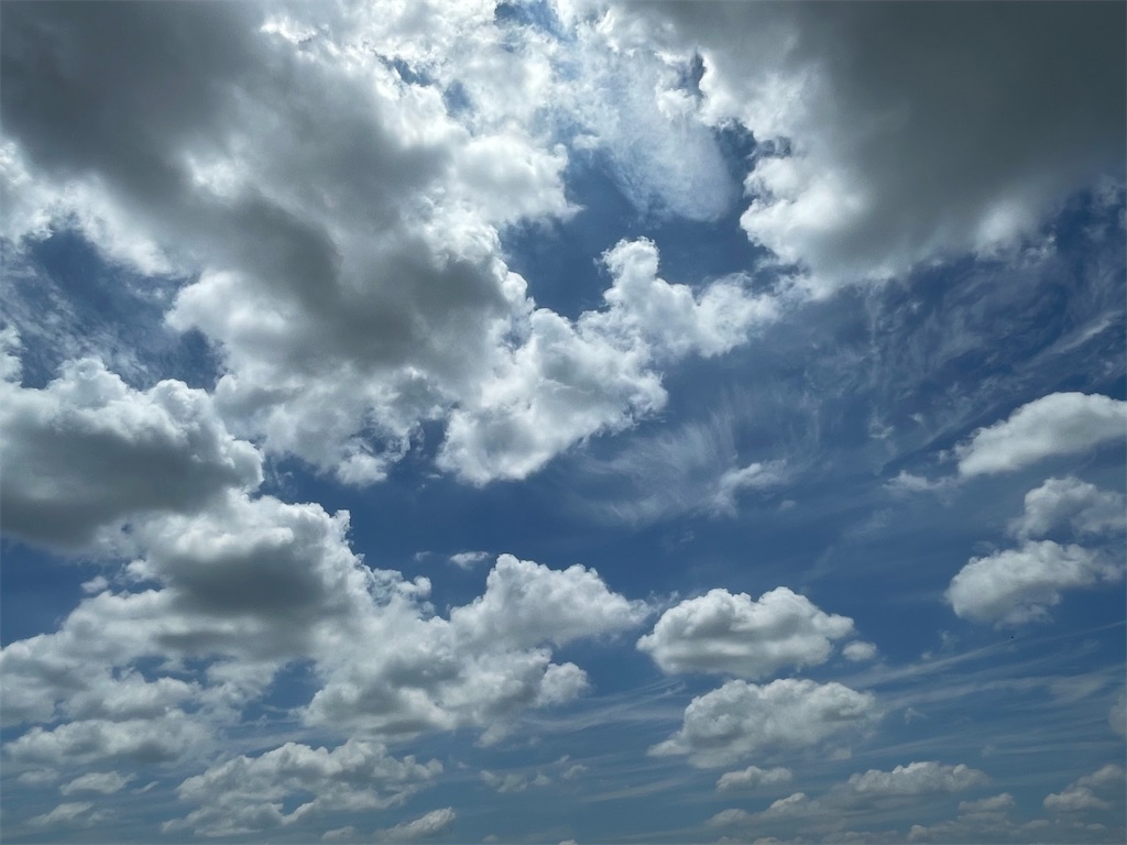 f:id:take012504:20260726150838j:image f:id:take012504:20260726150838j:image