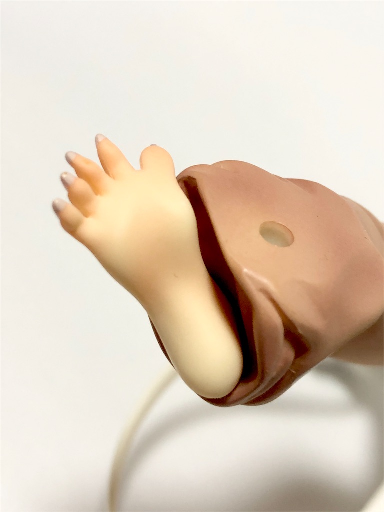 f:id:take0291:20210324214519j:image