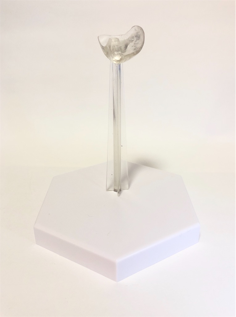 f:id:take0291:20211104024647j:image