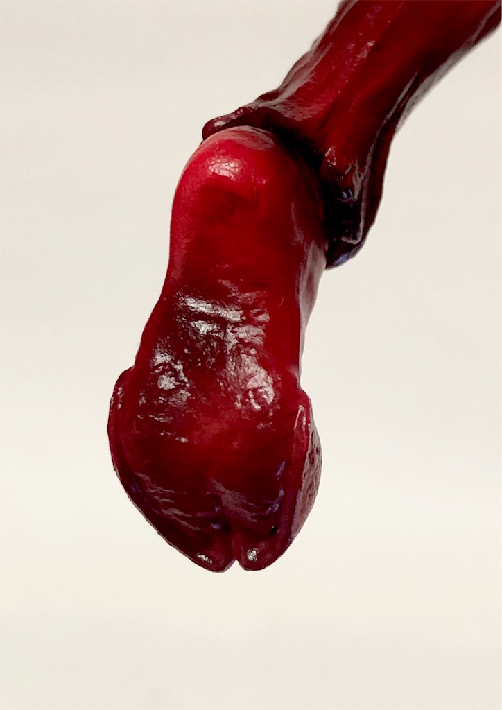 f:id:take0291:20211109185750j:image