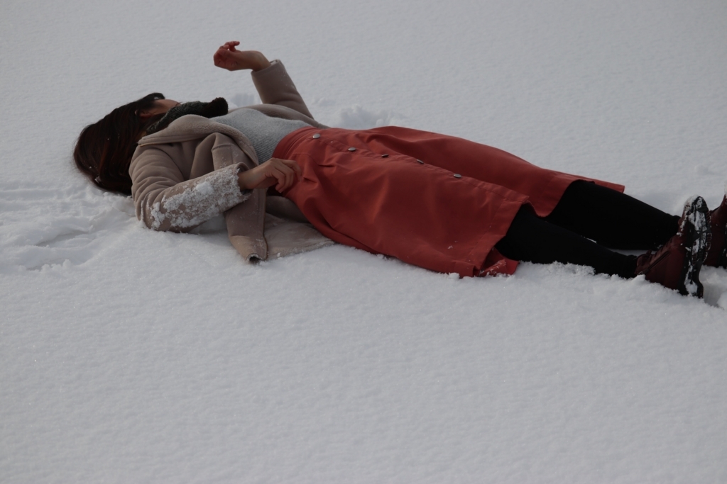 f:id:take1_HERO:20180303224109j:plain