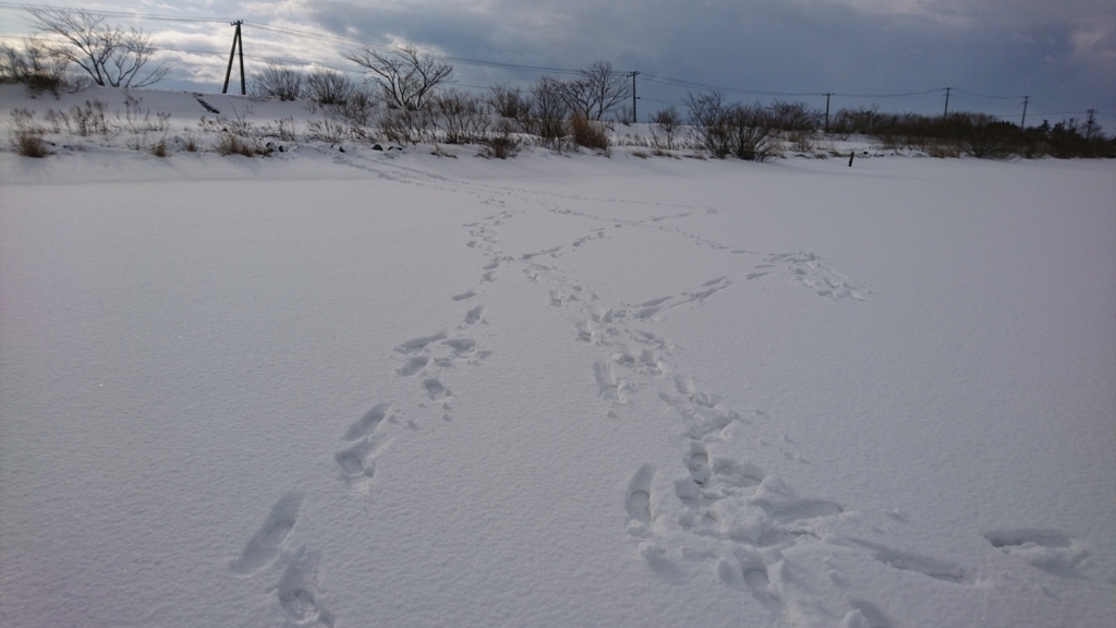 f:id:take1_HERO:20180303231351j:plain