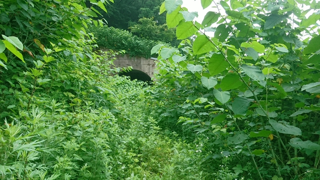 f:id:take1_HERO:20180623202645j:plain f:id:take1_HERO:20180623202645j:plain