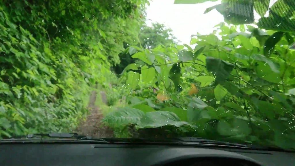 f:id:take1_HERO:20180701113328j:plain f:id:take1_HERO:20180701113328j:plain