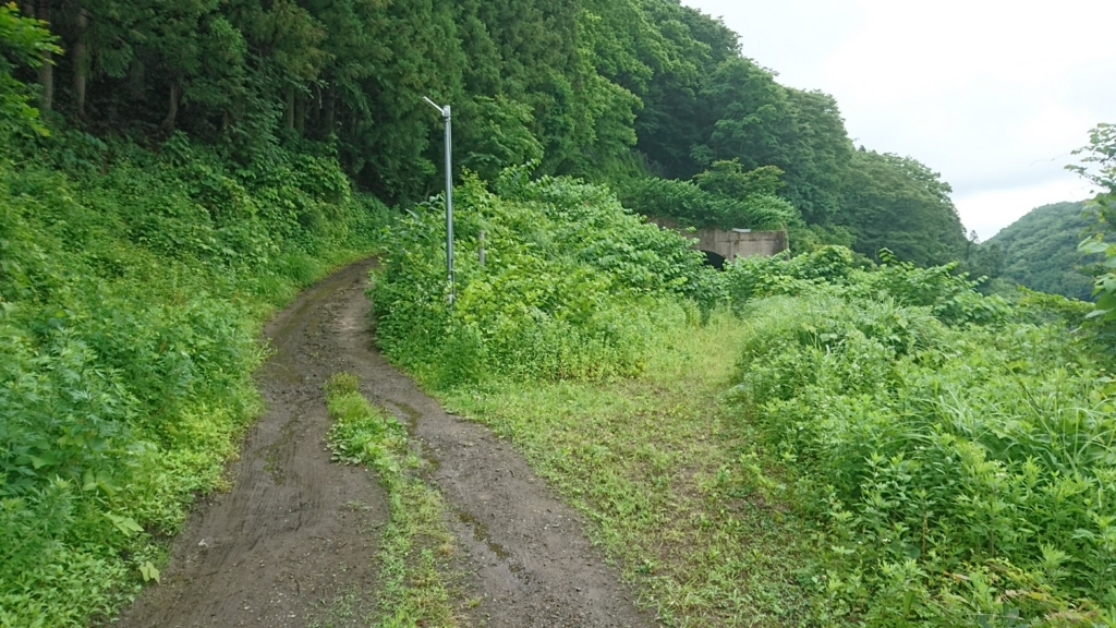 f:id:take1_HERO:20180701115219j:plain