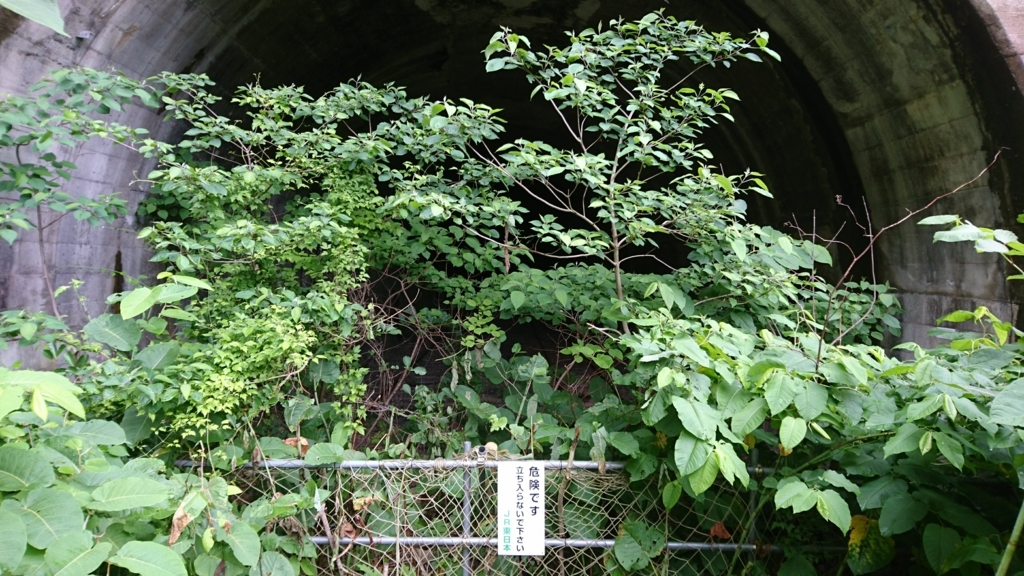 f:id:take1_HERO:20180701115549j:plain f:id:take1_HERO:20180701115549j:plain