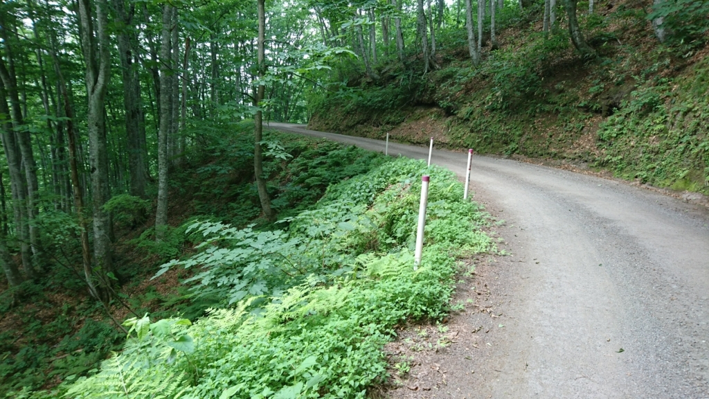 f:id:take1_HERO:20180723024453j:plain