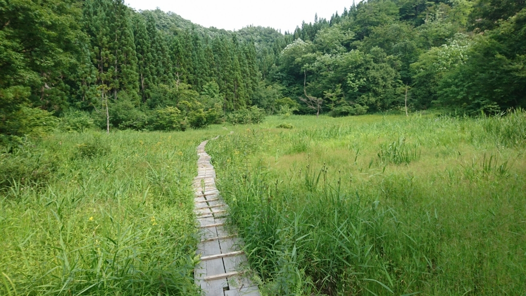 f:id:take1_HERO:20180723030257j:plain