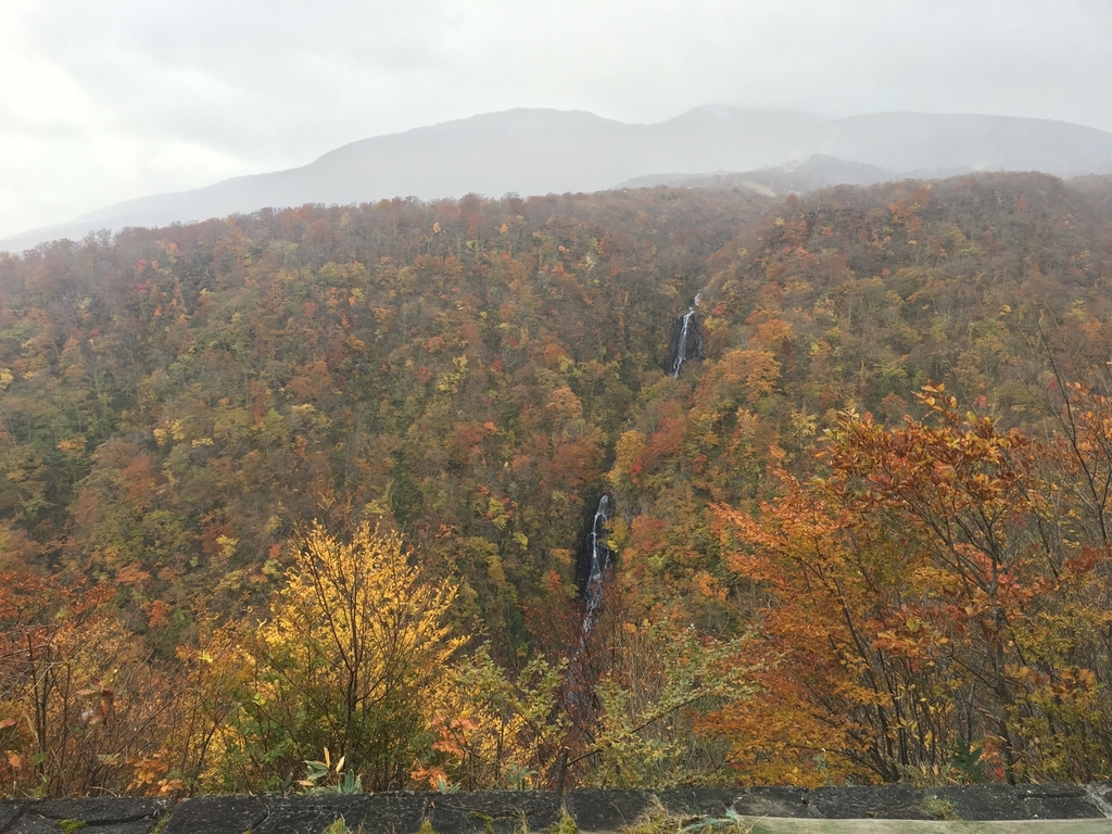 f:id:take1_HERO:20181101195447j:plain f:id:take1_HERO:20181101195447j:plain