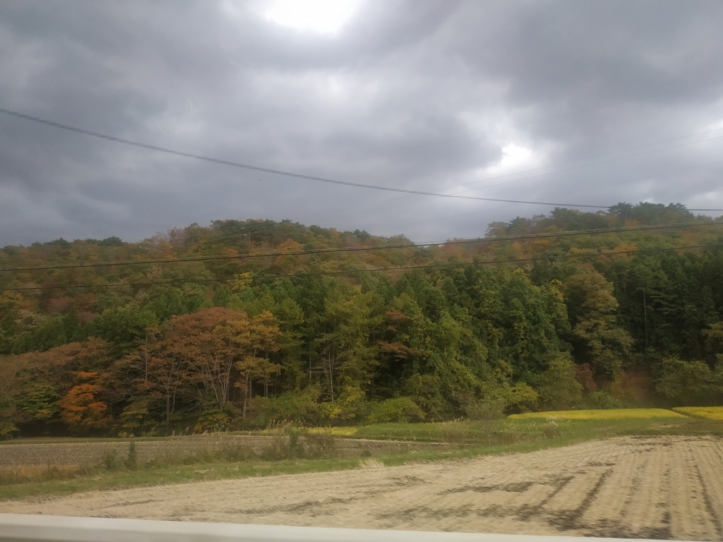 f:id:take1_HERO:20181101195853j:plain