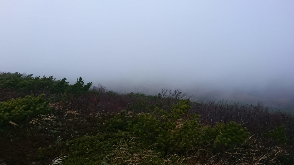 f:id:take1_HERO:20181101203951j:plain f:id:take1_HERO:20181101203951j:plain