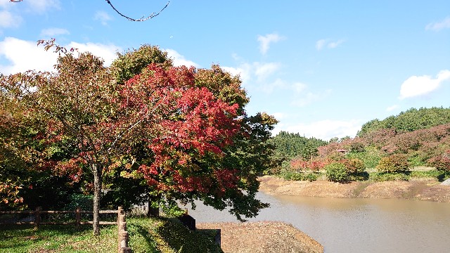 f:id:take1_HERO:20191022215529j:image f:id:take1_HERO:20191022215529j:image