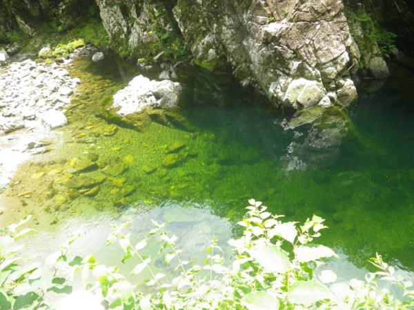 f:id:take3-HBR:20170712203329j:image f:id:take3-HBR:20170712203329j:image