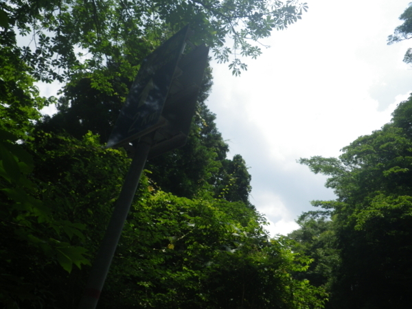 f:id:take3-HBR:20170718223701j:image f:id:take3-HBR:20170718223701j:image