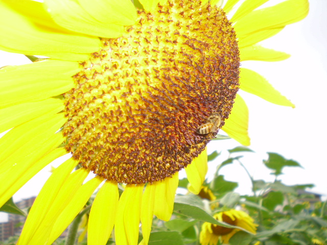 f:id:take369:20110822193951j:image:w360:left f:id:take369:20110822193951j:image:w360:left