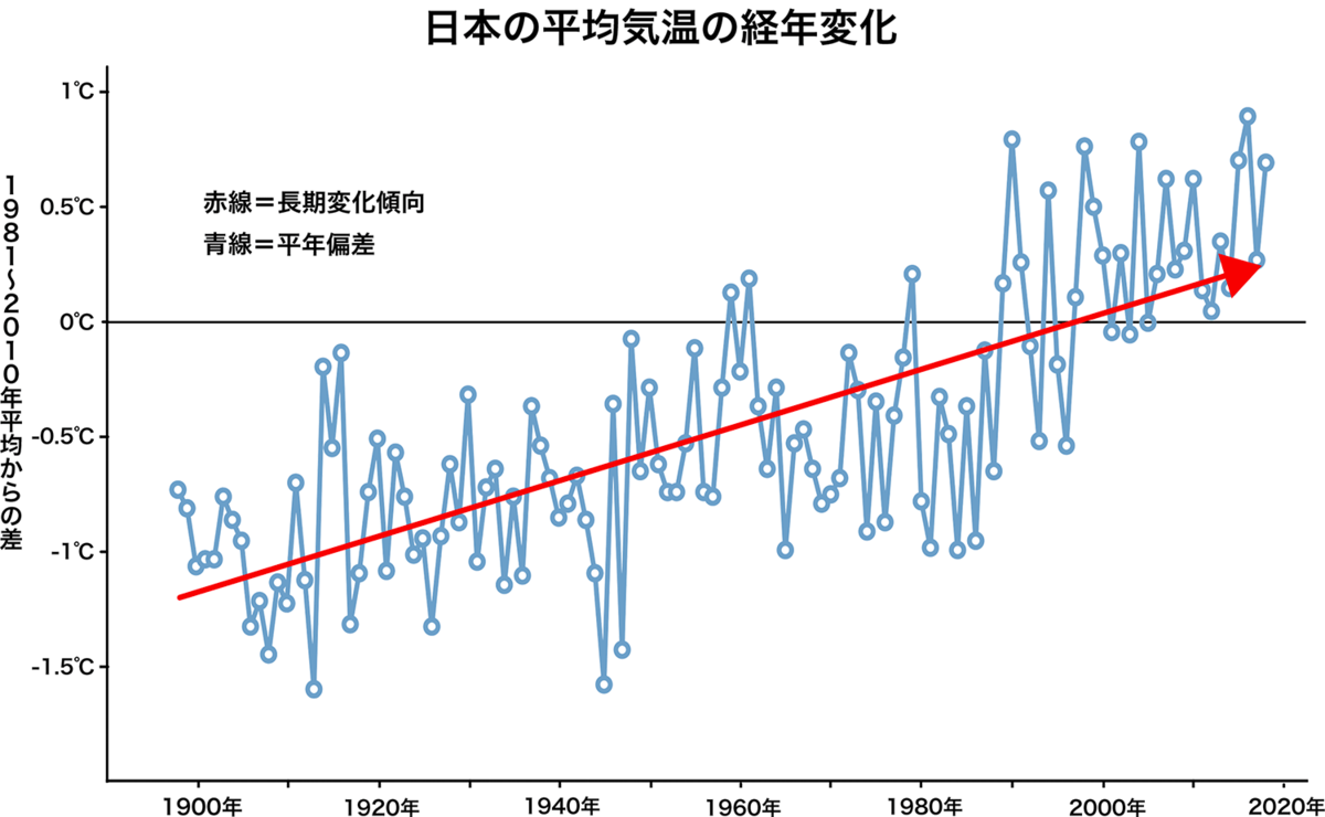 木々は、この惑星が過去1000年間でこれほど暑くなかったことを示している