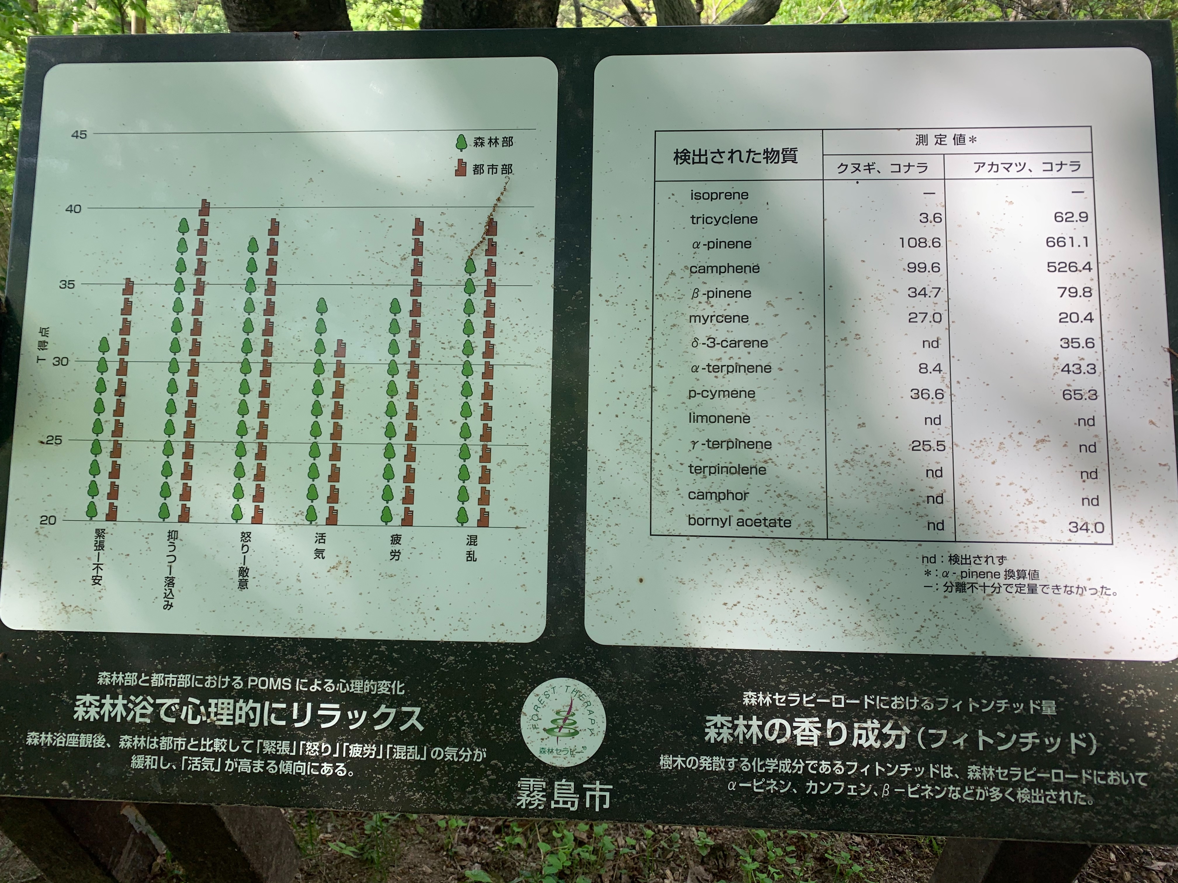 f:id:take70riyurin:20210411095619j:image f:id:take70riyurin:20210411095619j:image