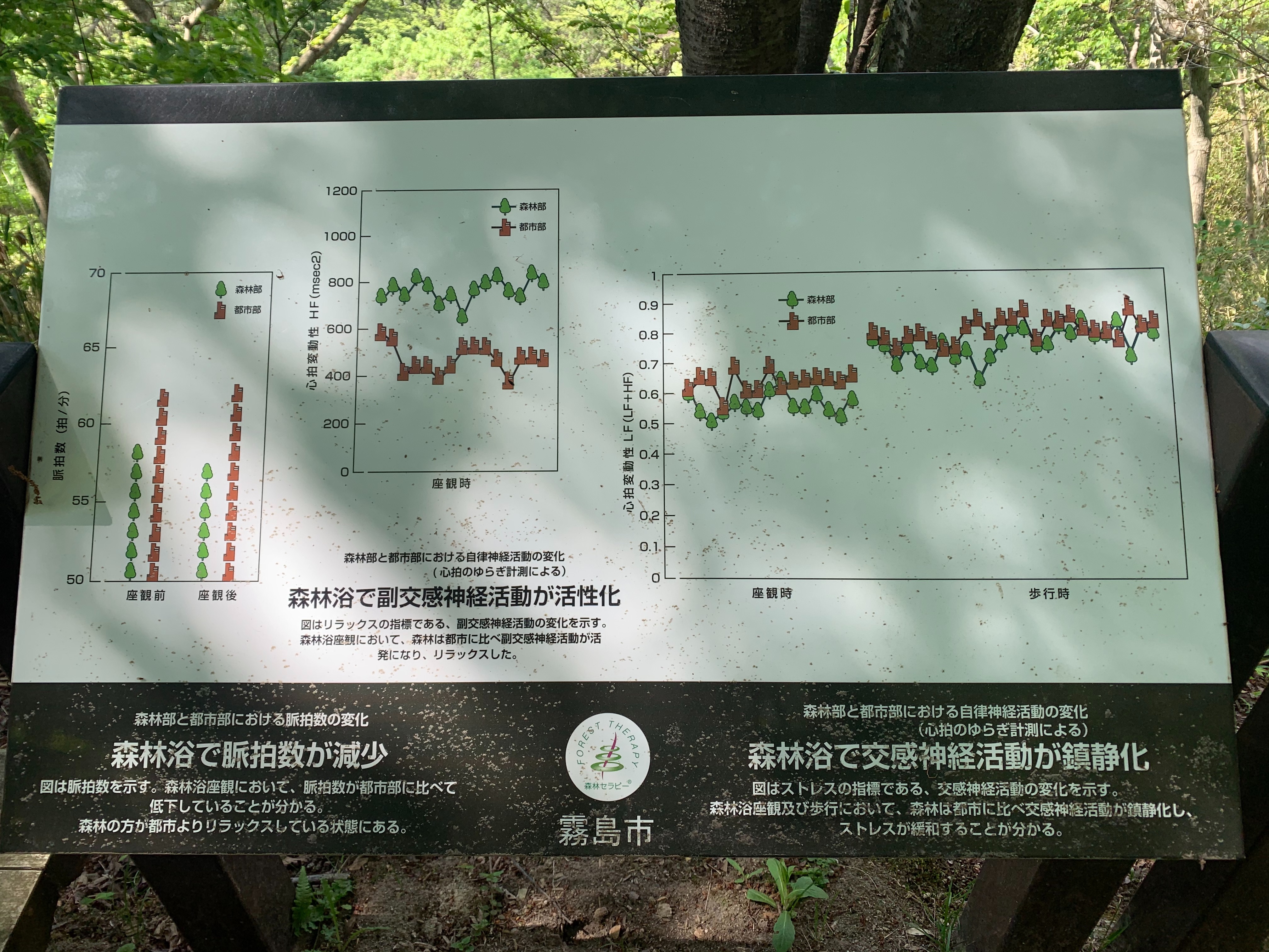f:id:take70riyurin:20210411095635j:image f:id:take70riyurin:20210411095635j:image