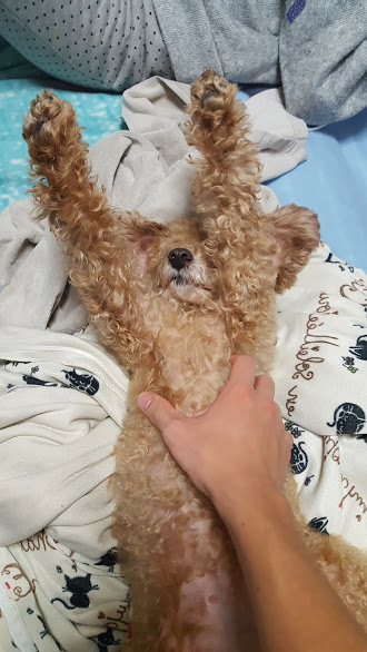 f:id:take_gooryu:20180704202723j:plain