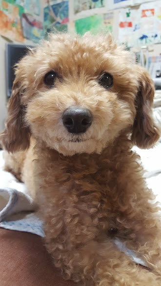 f:id:take_gooryu:20180704202933j:plain