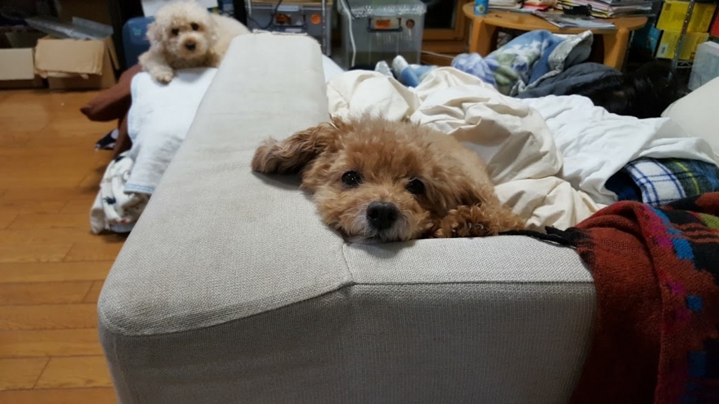 f:id:take_gooryu:20180704203014j:plain
