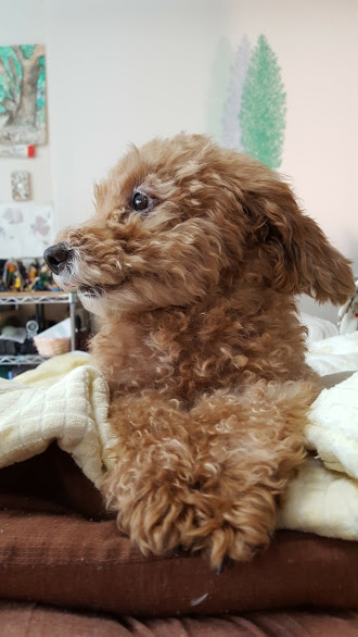 f:id:take_gooryu:20180704203040j:plain