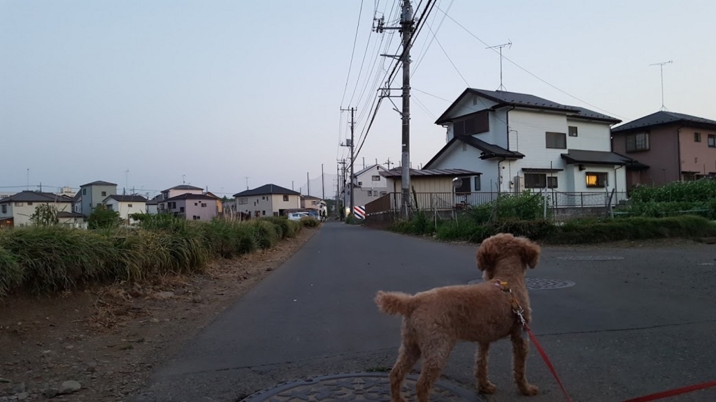 f:id:take_gooryu:20180704203237j:plain