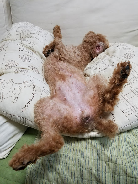 f:id:take_gooryu:20180704203303j:plain