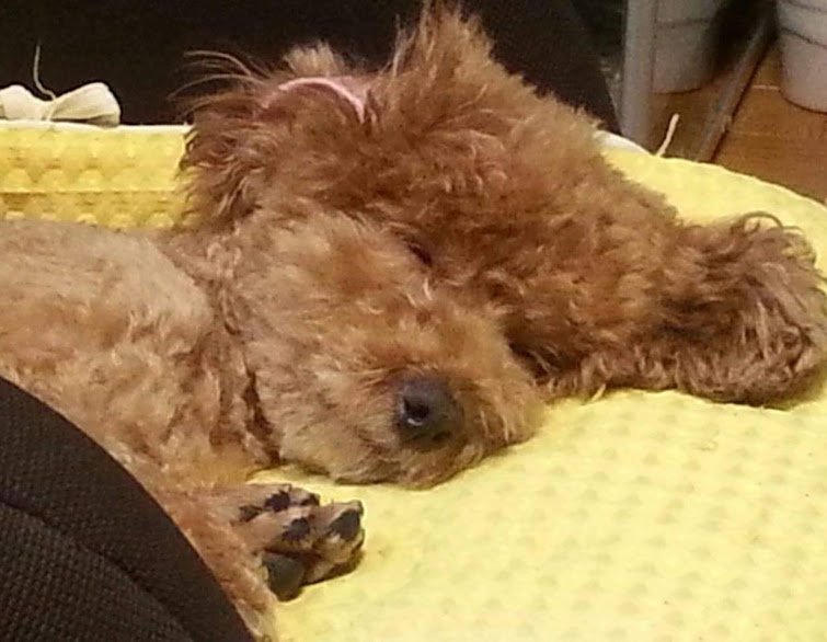 f:id:take_gooryu:20180704203346j:plain