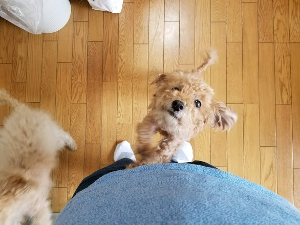 f:id:take_gooryu:20180704204717j:plain