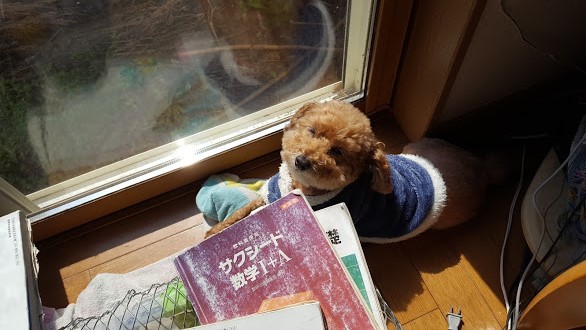 f:id:take_gooryu:20180704204748j:plain