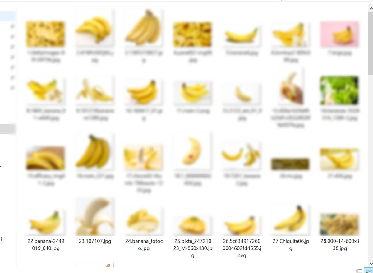 f:id:take_m5:20191212134321j:plain f:id:take_m5:20191212134321j:plain