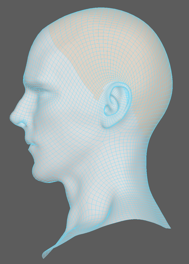 f:id:take_model:20181220001741p:plain:w200