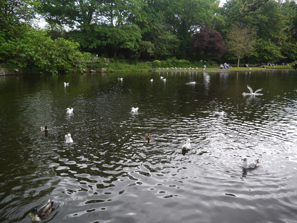 f:id:take_she12:20180618202204j:plain