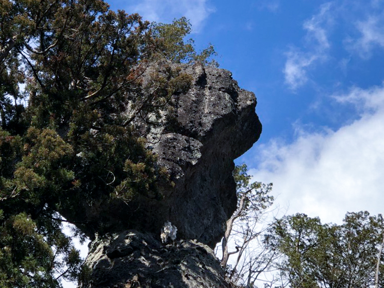 f:id:takealo:20190105162409j:plain f:id:takealo:20190105162409j:plain