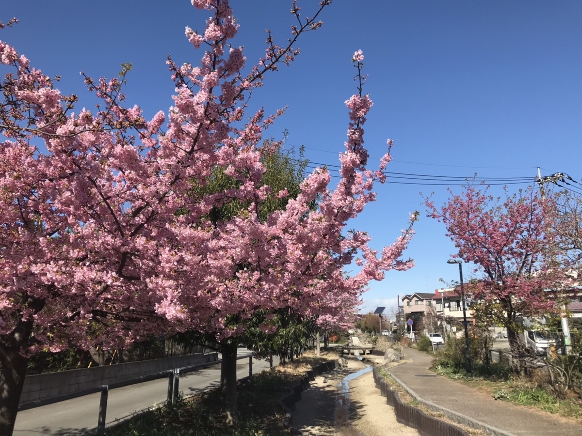 f:id:takealo:20190407193436j:plain f:id:takealo:20190407193436j:plain