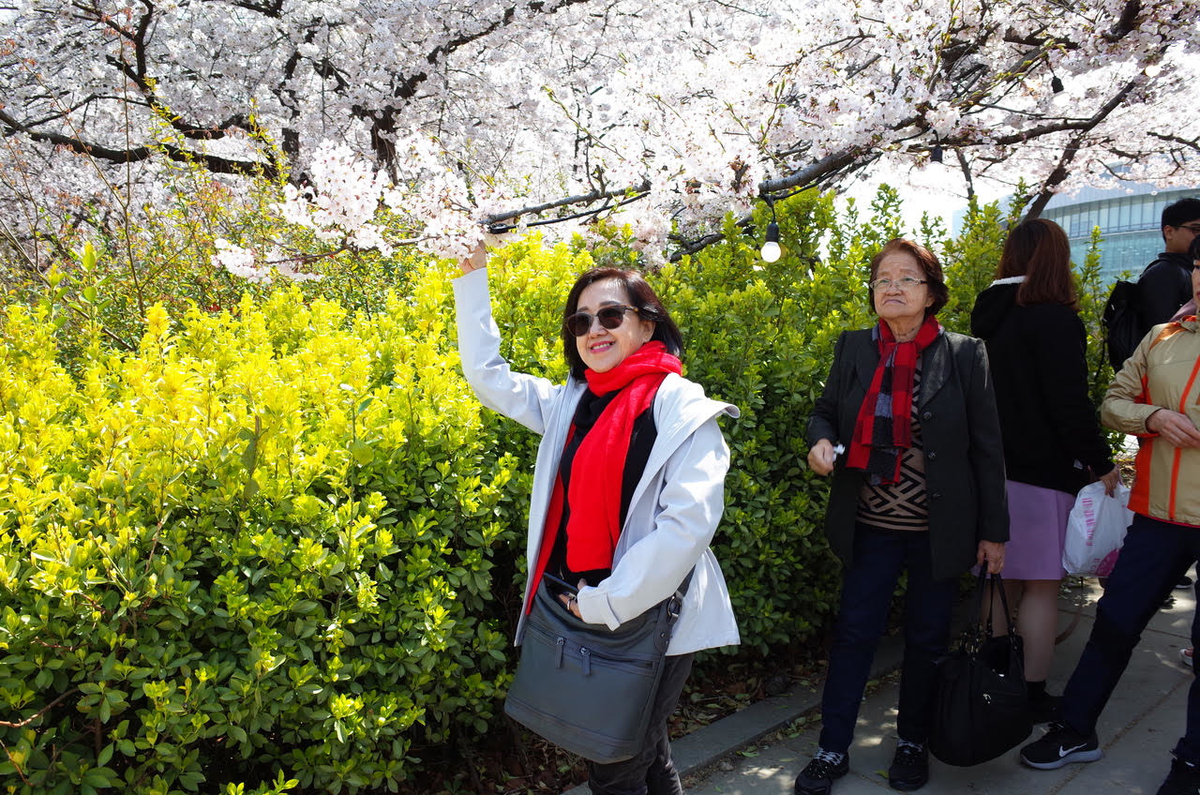 f:id:takealo:20190414135229j:plain f:id:takealo:20190414135229j:plain