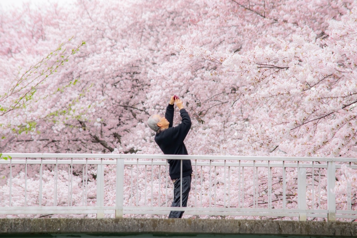 f:id:takealo:20190421095828j:plain f:id:takealo:20190421095828j:plain