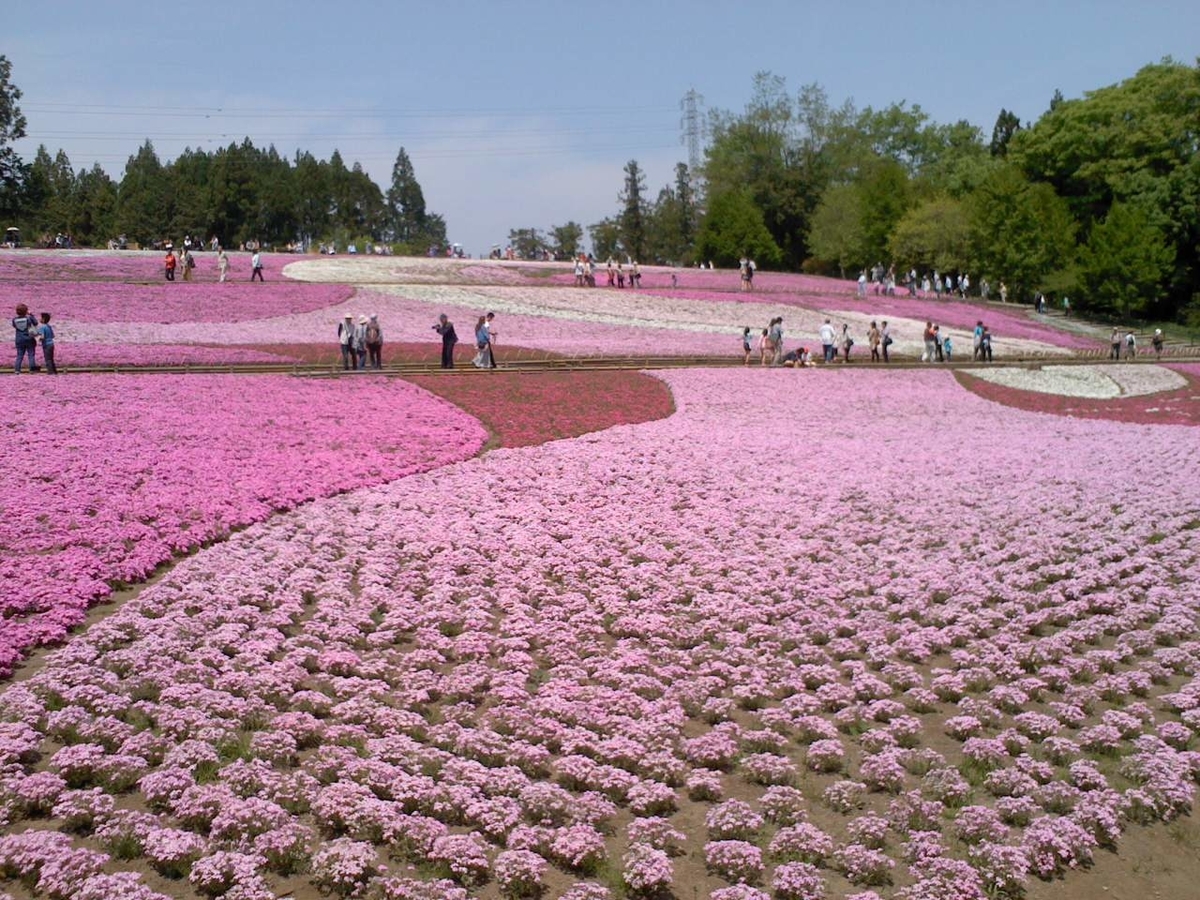 f:id:takealo:20190421095835j:plain f:id:takealo:20190421095835j:plain