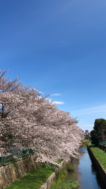 f:id:takealo:20190421095839p:plain f:id:takealo:20190421095839p:plain