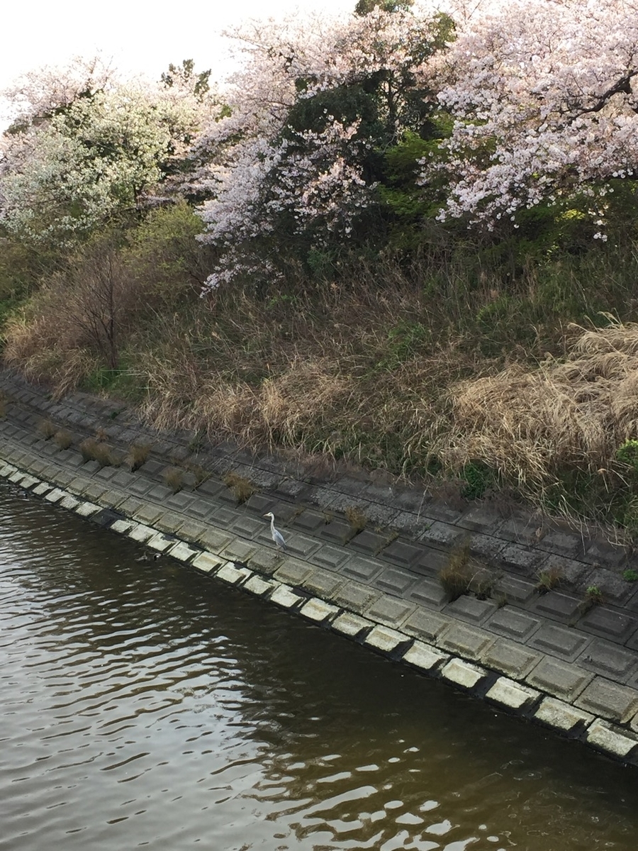 f:id:takealo:20190421095851j:plain f:id:takealo:20190421095851j:plain