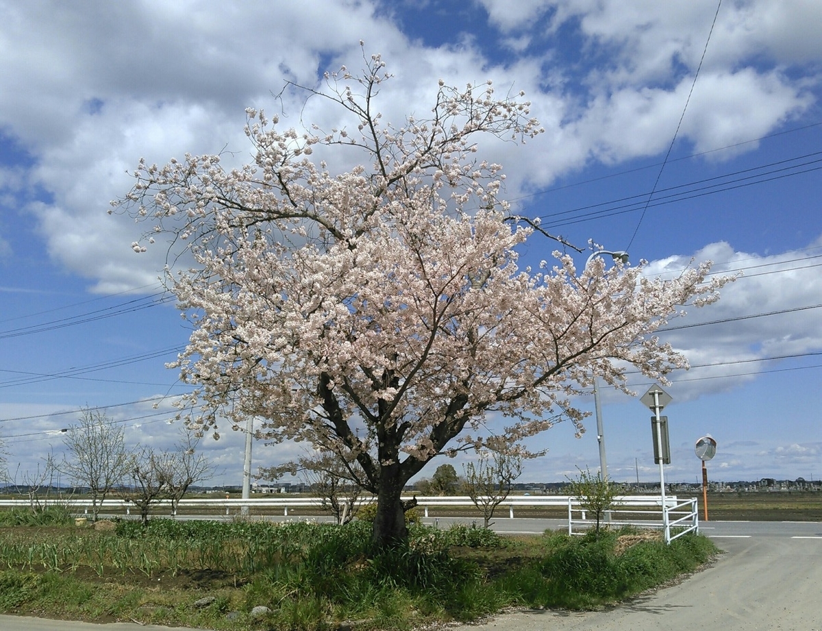 f:id:takealo:20190421095857j:plain f:id:takealo:20190421095857j:plain