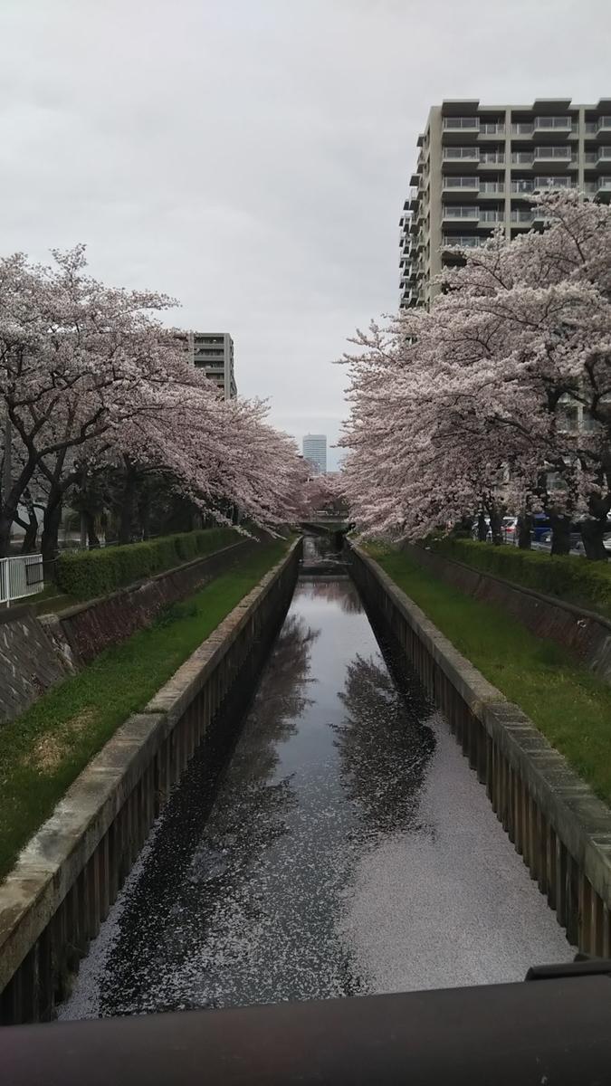 f:id:takealo:20190421095901j:plain f:id:takealo:20190421095901j:plain